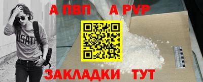 шишки Лесосибирск