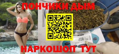 шишки Лесосибирск