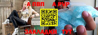 шишки Лесосибирск