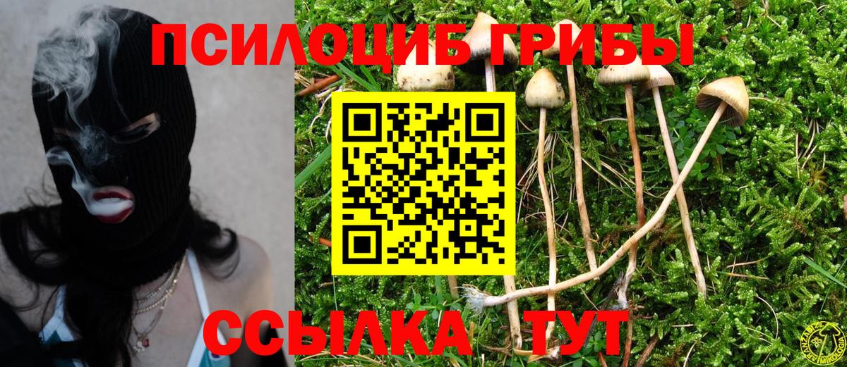 Будённовск  Галлюциногенные грибы Magic Shrooms  Вход с VPN 