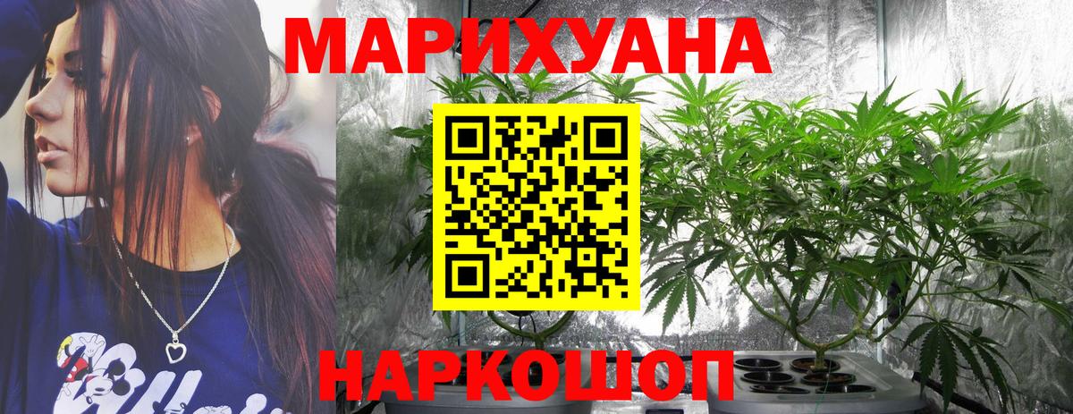 Бошки Шишки планчик Будённовск